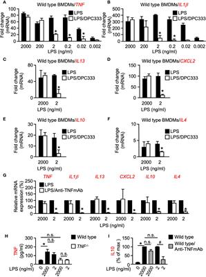 The Threshold Effect: Lipopolysaccharide-Induced Inflammatory Responses in Primary Macrophages Are Differentially Regulated in an iRhom2-Dependent Manner